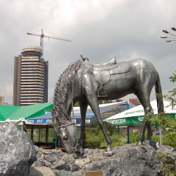 "День Сибири"